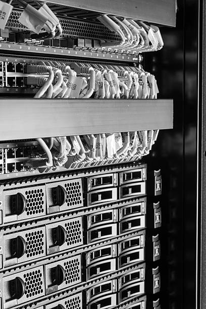 Custom AI tools built for small businesses